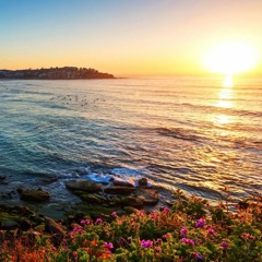 vege X rjay - Lujempaa