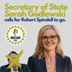 Secretary of State Godlewski calls for Robert Spindell to go!