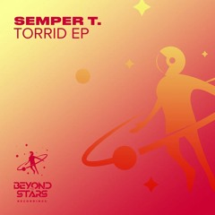 Semper T. - When You Came Back (Original Mix) ((Promo))