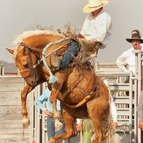 Stream Cowboy and it's Horse and a country song by JADE STEEN MUSIC