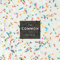 "Vermeer" by Alberto de Lacerda