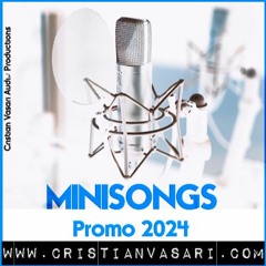 Custom Jingles & Mini-Songs