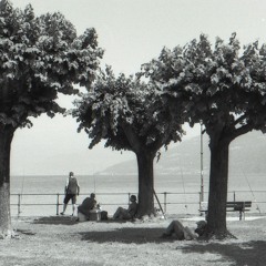 mosch01