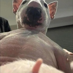 Ngày em bước theo chồng