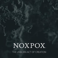 the unborn act of creation