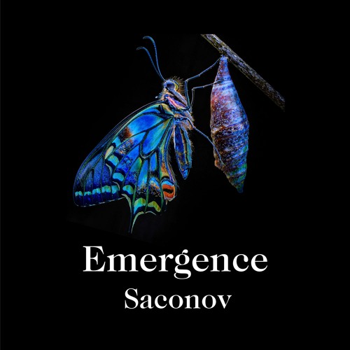 Emergence - Theme from “Meet”