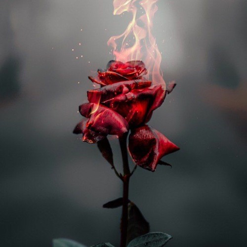 Деньги дают славу (demo)