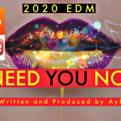 I NEED YOU NOW BY AYLE/ 2020 EDM