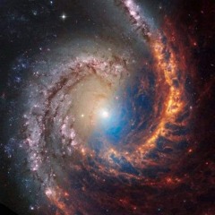 W23SP Acid Spiral