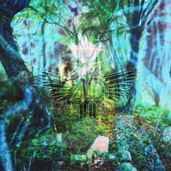 Hidden ✨Forces ver. a (prod. silk arc)