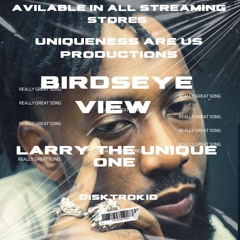 Birdseye View