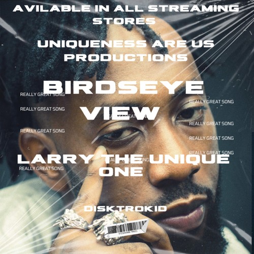 Birdseye View
