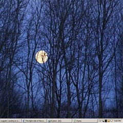 Night