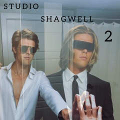 Studio Shagwell 2