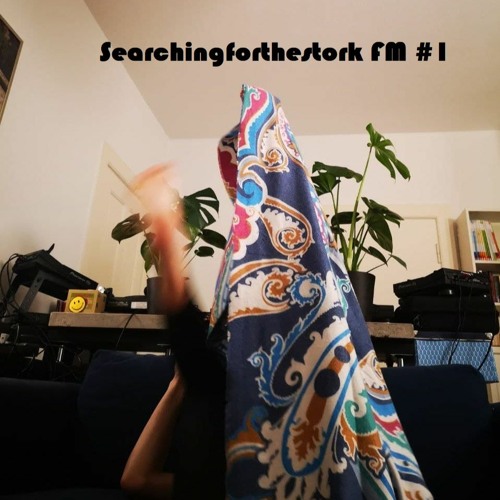 Searchingforthestork FM #1