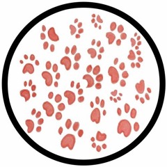 The Groovy Cat (Extended Mix)