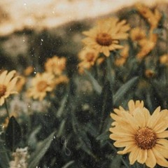 | Çare Ol Sen Bana | Evrencan Gündüz (Cover)