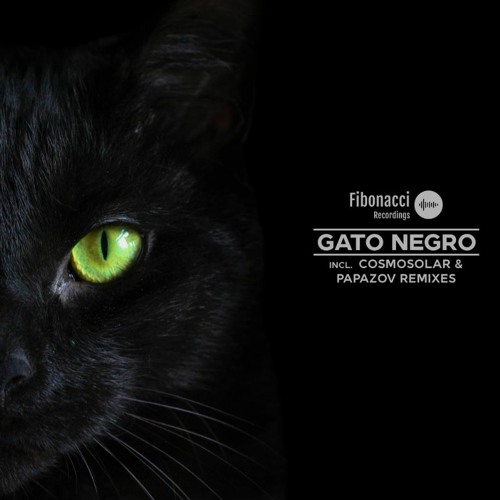 Jay Perlestein - Gato Negro (Cosmosolar Remix)||PREVIEW||