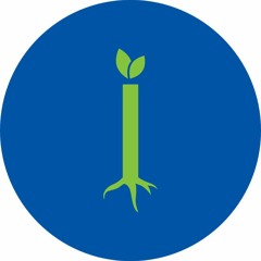 Throw Your Arms Around Me