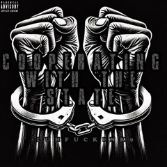 K9 - Cooperating With The State (New Flow)