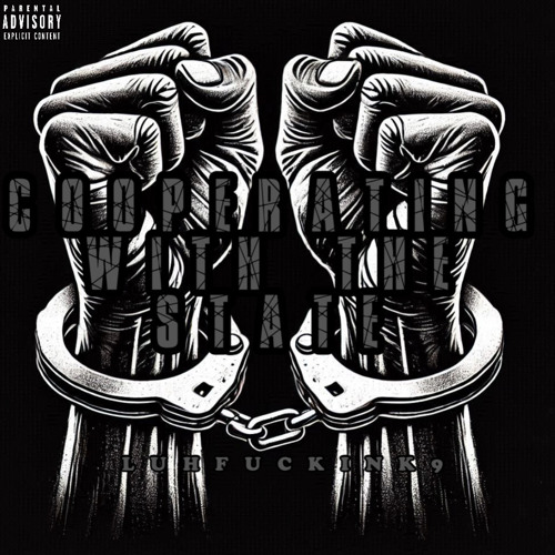 K9 - Cooperating With The State (New Flow)