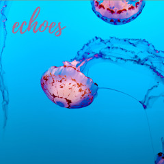 Echoes - Vol 1