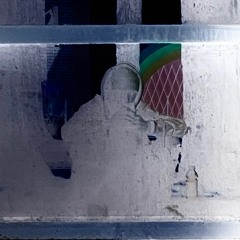 I Dont Know What Life Like