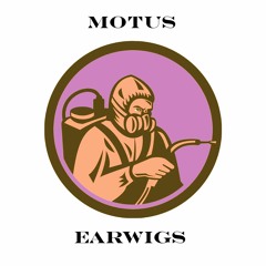 MOTUS - EARWIGS 🐛 (JULY PATREON EXCLUSIVE)