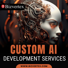 Bizvertex - Custom AI Development