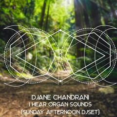Chandrani - I Hear Organ Sounds (Sunday Afternoon DJSet)