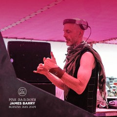 James Barry - Pink Mammoth - Burning Man 2024