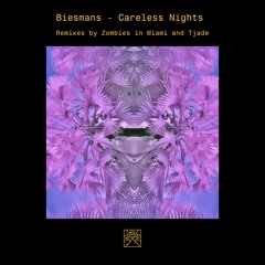 PREMIERE: Biesmans - Careless Nights (Zombies in Miami Remix) [Sinchi]