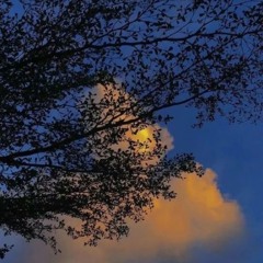 ◐ surl(설) ~ the lights behind you