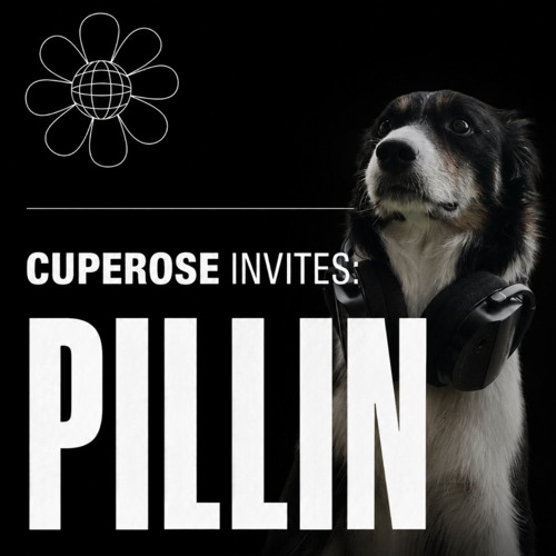 CUPEROSE INVITES: PILLIN