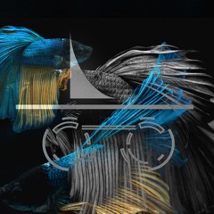 XXVI - Incognito_submerge_w. Lucas Darío