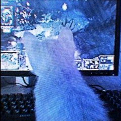Digikrush! w/kitana & SMXLE