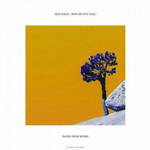 Max Foley - How Do You Feel? (Daniel Rems Remix)