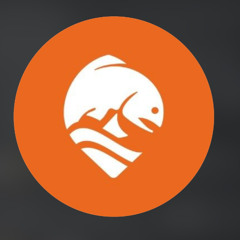 280 The FlyFishFinder App