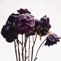 Untitled playlist