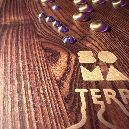 fromterra(disquiet0619)