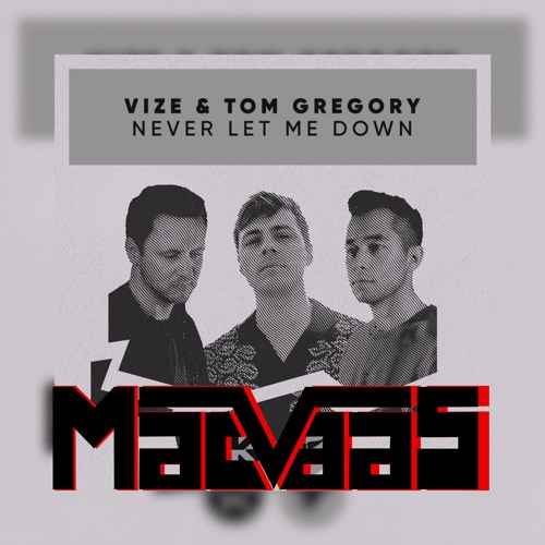 VIZE & Tom Gregory - Never Let Me Down (MacVaas Remix)