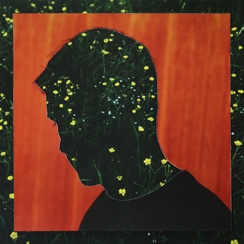 Vision of a Floating World