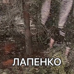 Lapenko (2020)