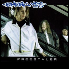 Freestyler (microphone mix)