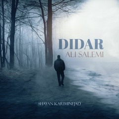 Ali Salemi - Didar