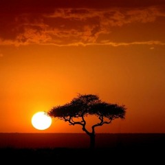 Afromystical
