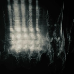 Horizontal Champion - 001 - May 2021 (Vinyl)