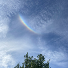 Faded (feat. XAN FX)