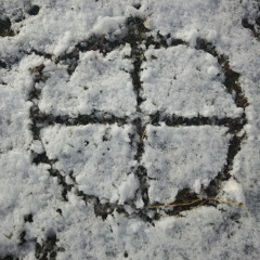 THIS LAND ALMOST FINAL BOUNCE