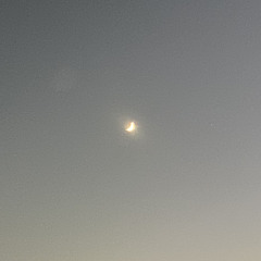 Lemon Heads Freestyle (prod. rakaribeats)